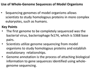 Use of Whole-Genome Sequences of Model Organisms
• Sequencing genomes of model organisms allows
scientists to study homologous proteins in more complex
eukaryotes, such as humans.
Key Points
• The first genome to be completely sequenced was the
bacterial virus, bacteriophage fx174, which is 5368 base
pairs.
• Scientists utilize genome sequencing from model
organisms to study homologous proteins and establish
evolutionary relationships.
• Genome annotation is the process of attaching biological
information to gene sequences identified using whole-
genome sequencing.
 