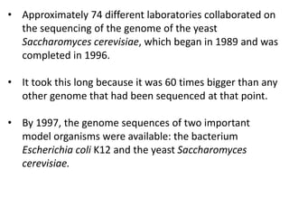 • Approximately 74 different laboratories collaborated on
the sequencing of the genome of the yeast
Saccharomyces cerevisiae, which began in 1989 and was
completed in 1996.
• It took this long because it was 60 times bigger than any
other genome that had been sequenced at that point.
• By 1997, the genome sequences of two important
model organisms were available: the bacterium
Escherichia coli K12 and the yeast Saccharomyces
cerevisiae.
 