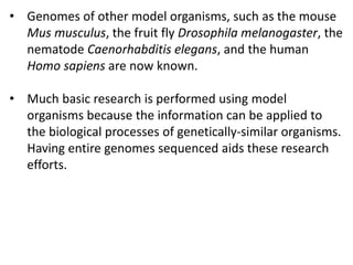 • Genomes of other model organisms, such as the mouse
Mus musculus, the fruit fly Drosophila melanogaster, the
nematode Caenorhabditis elegans, and the human
Homo sapiens are now known.
• Much basic research is performed using model
organisms because the information can be applied to
the biological processes of genetically-similar organisms.
Having entire genomes sequenced aids these research
efforts.
 