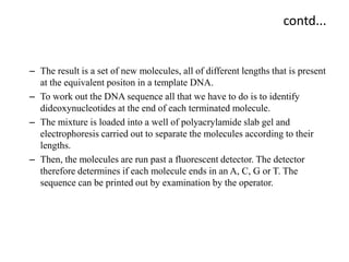 contd...
– The result is a set of new molecules, all of different lengths that is present
at the equivalent positon in a template DNA.
– To work out the DNA sequence all that we have to do is to identify
dideoxynucleotides at the end of each terminated molecule.
– The mixture is loaded into a well of polyacrylamide slab gel and
electrophoresis carried out to separate the molecules according to their
lengths.
– Then, the molecules are run past a fluorescent detector. The detector
therefore determines if each molecule ends in an A, C, G or T. The
sequence can be printed out by examination by the operator.
 