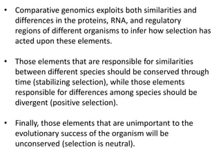 • Comparative genomics exploits both similarities and
differences in the proteins, RNA, and regulatory
regions of different organisms to infer how selection has
acted upon these elements.
• Those elements that are responsible for similarities
between different species should be conserved through
time (stabilizing selection), while those elements
responsible for differences among species should be
divergent (positive selection).
• Finally, those elements that are unimportant to the
evolutionary success of the organism will be
unconserved (selection is neutral).
 