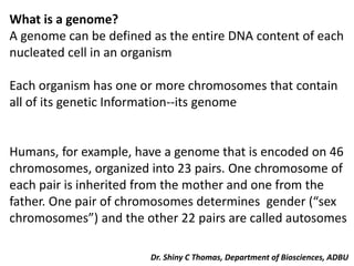 What is a genome?
A genome can be defined as the entire DNA content of each
nucleated cell in an organism
Each organism has one or more chromosomes that contain
all of its genetic Information--its genome
Humans, for example, have a genome that is encoded on 46
chromosomes, organized into 23 pairs. One chromosome of
each pair is inherited from the mother and one from the
father. One pair of chromosomes determines gender (“sex
chromosomes”) and the other 22 pairs are called autosomes
Dr. Shiny C Thomas, Department of Biosciences, ADBU
 