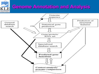 Genome Annotation and Analysis   