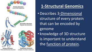 1-Structural Genomics
• Describes 3-Dimensional
structure of every protein
that can be encoded by
genome
• knowledge of 3D structure
is important to understand
the function of protein.
 