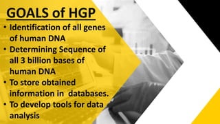 GOALS of HGP
• Identification of all genes
of human DNA
• Determining Sequence of
all 3 billion bases of
human DNA
• To store obtained
information in databases.
• To develop tools for data
analysis
 