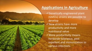 Applications in Agriculture
Genetically engineered plant
(GMOs) strains are possible to
develop
New strains have more
productivity and more
nutritional value
More productivity means
herbicide tolerance, pest
repellent and immunization to
various infections
 