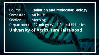 Course Radiation and Molecular Biology
Semester MPhil 3rd
Section Morning
Department of Zoology Wildlife and Fisheries
University of Agriculture Faisalabad
 