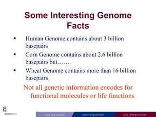 Some Interesting Genome
             Facts
   Human Genome contains about 3 billion
    basepairs
   Corn Genome contains about 2.6 billion
    basepairs but…….
   Wheat Genome contains more than 16 billion
    basepairs
    Not all genetic information encodes for
      functional molecules or life functions
 