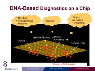 DNA-Based Diagnostics on a Chip
  • Breeding                                             • Source
  • Management &             Branding                    Verification
    Selection                                            • Traceability




                   Feed Efficiency   Disease
   Growth                            Resistance
                                                        Carcass Traits




                                     Courtesy of MMI Genomics
 