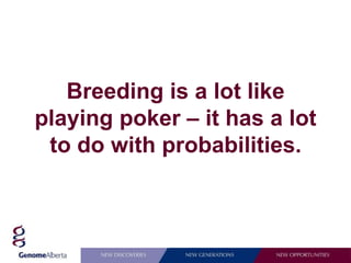 Breeding is a lot like
playing poker – it has a lot
 to do with probabilities.
 