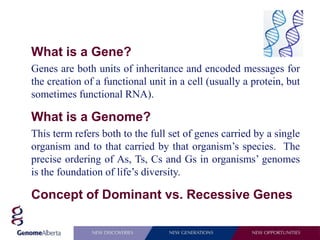 What is a Gene?
Genes are both units of inheritance and encoded messages for
the creation of a functional unit in a cell (usually a protein, but
sometimes functional RNA).

What is a Genome?
This term refers both to the full set of genes carried by a single
organism and to that carried by that organism’s species. The
precise ordering of As, Ts, Cs and Gs in organisms’ genomes
is the foundation of life’s diversity.

Concept of Dominant vs. Recessive Genes
 