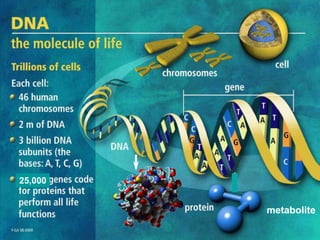 25,000


         metabolite
 