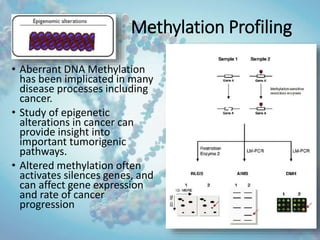Genomics and Cancer | PPTX