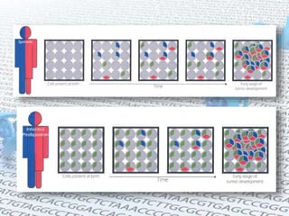 Genomics and Cancer | PPTX