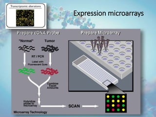Genomics and Cancer | PPTX