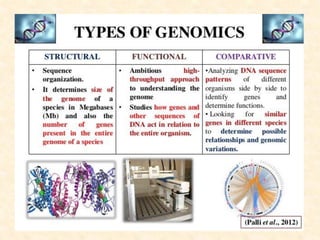 Genomics Examples Genomics and its application in crop improvement | PDF