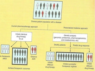 Proteome plays a key role in intracellular signalling pathways of the immune system and intercellular metabolism as being the interface between the cell and the environment. 