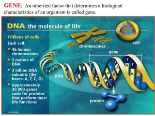 Genomics and Proteomics 