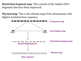 Nucleotide sequence database: