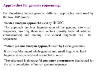 Gene bank: provides nucleotide sequence  maintained by the National Center for Biotechnology Information (NCBI), USAEMBL: European Molecular Biology Laboratory  maintained by European Bioinformatics Institute (EBI)2. Development of Algorithms and statistics:It involves the development of tools and resources to determine the relation ship among the members of large data sets.E.g. comparison of protein sequence data with the already existing protein sequences.3. Analysis of data and interpretation:Above said two components used to analyze the data and interpret the results.