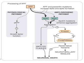 A second human genome project was setup by a private company —Celera genomics of Maryland USA in 1998. This team was led by Craig Venter. ANNOUNCEMENT OF THE DRAFT SEQUENCE OF HUMAN GENOME:Working drafts of human genome sequence was announced in the year of 2000 on June 26th by the leaders of the two HGPs, Francis Collins and Venter.