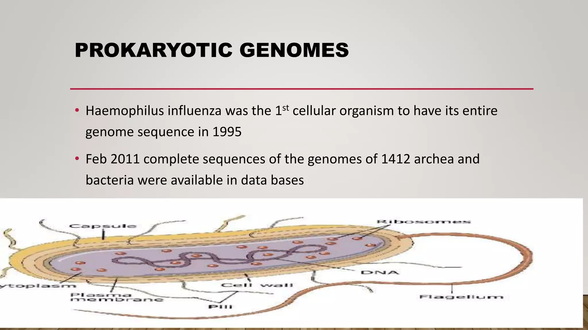 Genomics and proteomics ppt | PPTX