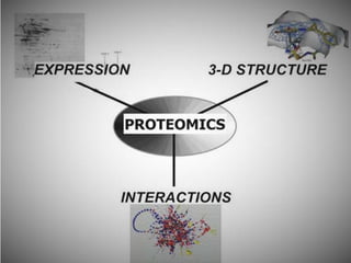 Genomics and proteomics by shreeman | PPTX