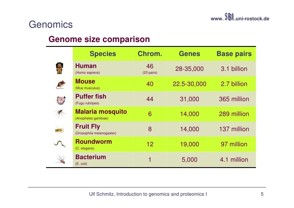 Genomics and proteomics I
