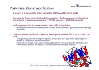 www.   .uni-rostock.de
Post-translational modification
•   a protein is a polypeptide chain composed of 20 possible amino acids

•   there are far fewer genes that code for proteins in the human genome than there
    are proteins in the human proteome (~33,000 genes vs ~200,000 proteins).

•   each gene encodes as many as six to eight different proteins
     – due to post-translational modifications such as phosphorylation, glycosylation or cleavage
       (Spaltung)

•   posttranslational modification extends the range of possible functions a protein can
    have
     – changes may alter the hydrophobicity of a protein and thus determine if the modified
       protein is cytosolic or membrane-bound
     – modifications like phosphorylation are part of common mechanisms for controlling the
       behavior of a protein, for instance, activating or inactivating an enzyme.




                        Ulf Schmitz, Introduction to genomics and proteomics II                    10
 