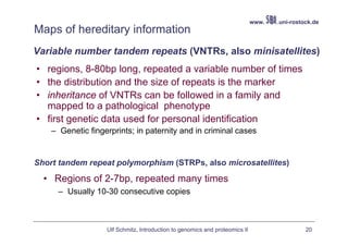 www.   .uni-rostock.de
Maps of hereditary information
Variable number tandem repeats (VNTRs, also minisatellites)
• regions, 8-80bp long, repeated a variable number of times
• the distribution and the size of repeats is the marker
• inheritance of VNTRs can be followed in a family and
  mapped to a pathological phenotype
• first genetic data used for personal identification
    – Genetic fingerprints; in paternity and in criminal cases


Short tandem repeat polymorphism (STRPs, also microsatellites)
  • Regions of 2-7bp, repeated many times
     – Usually 10-30 consecutive copies



                   Ulf Schmitz, Introduction to genomics and proteomics II                    20
 