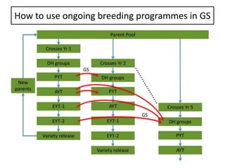 How to use ongoing breeding programmes in GS
 