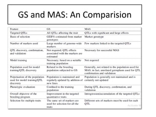 GS and MAS: An Comparision
 