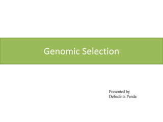 Genomic Selection
Presented by
Debadatta Panda
 