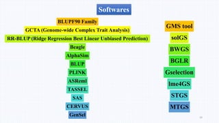 GENETIC GAIN BY GENOMIC SELECTION PPT.pptx