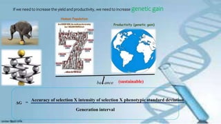 GENETIC GAIN BY GENOMIC SELECTION PPT.pptx