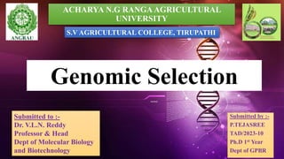 ACHARYA N.G RANGA AGRICULTURAL
UNIVERSITY
Submitted by :-
P.TEJASREE
TAD/2023-10
Ph.D 1st Year
Dept of GPBR
Genomic Selection
Submitted to :-
Dr. V.L.N. Reddy
Professor & Head
Dept of Molecular Biology
and Biotechnology 1
S.V AGRICULTURAL COLLEGE, TIRUPATHI
 