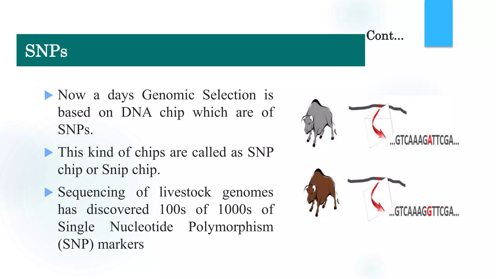  Now a days Genomic Selection is
based on DNA chip which are of
SNPs.
 This kind of chips are called as SNP
chip or Snip chip.
 Sequencing of livestock genomes
has discovered 100s of 1000s of
Single Nucleotide Polymorphism
(SNP) markers
Cont...
SNPs
 