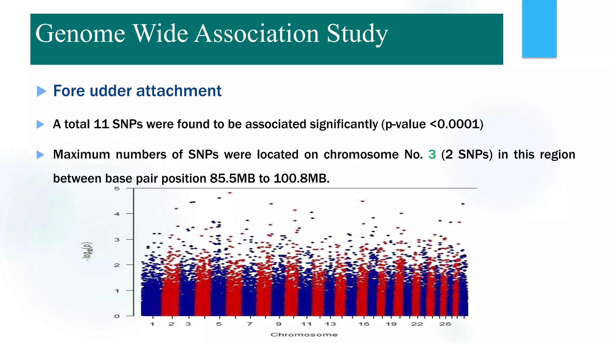  Fore udder attachment
 A total 11 SNPs were found to be associated significantly (p-value <0.0001)
 Maximum numbers of SNPs were located on chromosome No. 3 (2 SNPs) in this region
between base pair position 85.5MB to 100.8MB.
Genome Wide Association Study
 