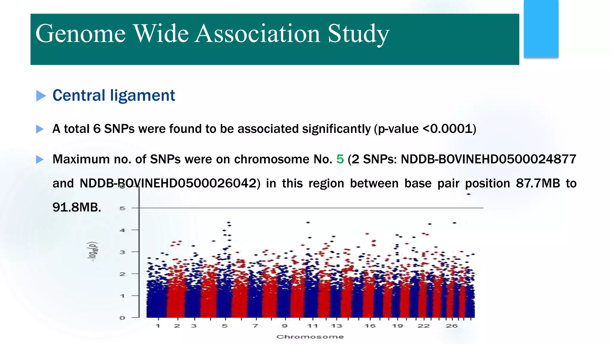  Central ligament
 A total 6 SNPs were found to be associated significantly (p-value <0.0001)
 Maximum no. of SNPs were on chromosome No. 5 (2 SNPs: NDDB-BOVINEHD0500024877
and NDDB-BOVINEHD0500026042) in this region between base pair position 87.7MB to
91.8MB.
Genome Wide Association Study
 