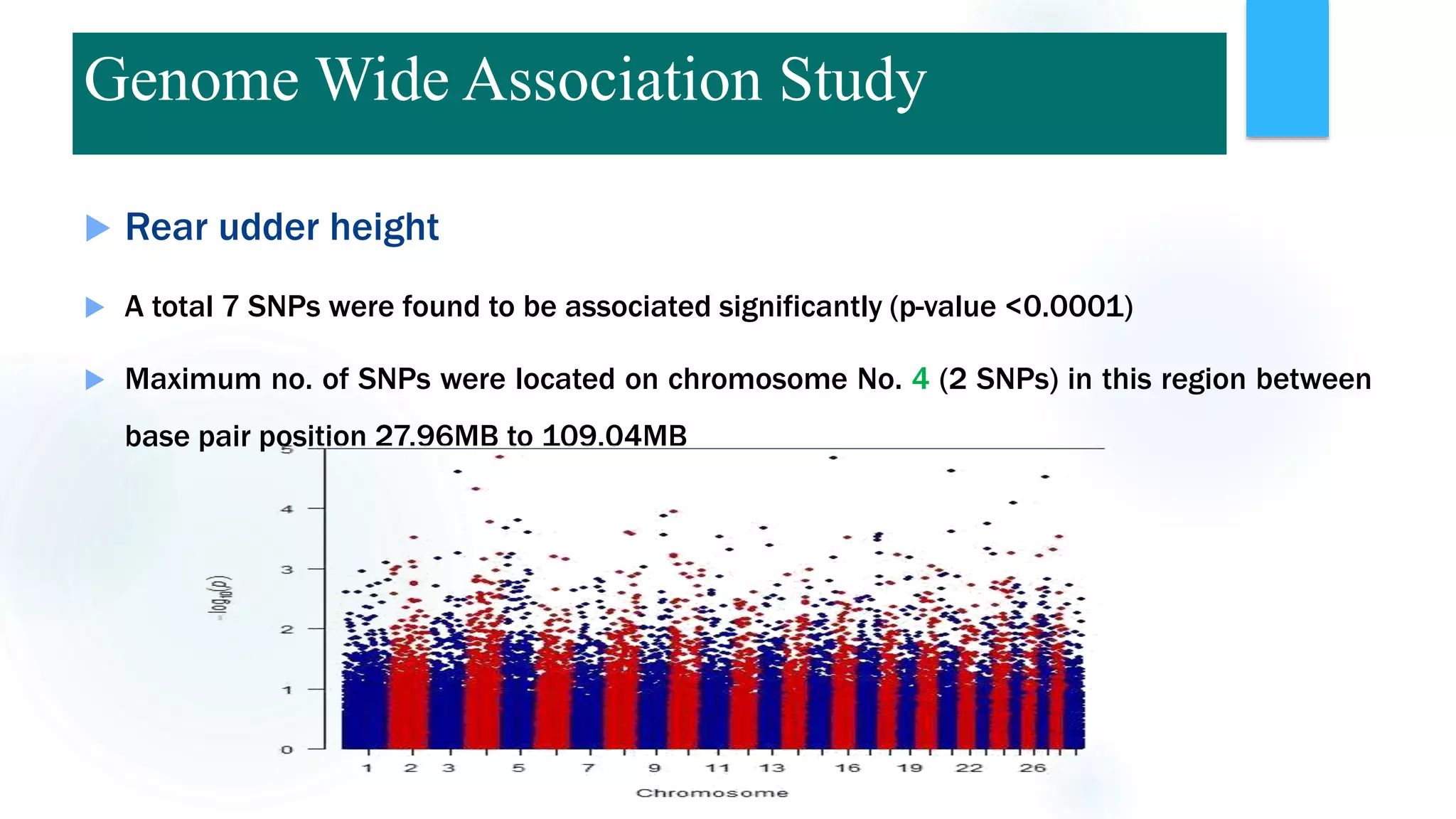  Rear udder height
 A total 7 SNPs were found to be associated significantly (p-value <0.0001)
 Maximum no. of SNPs were located on chromosome No. 4 (2 SNPs) in this region between
base pair position 27.96MB to 109.04MB
Genome Wide Association Study
 