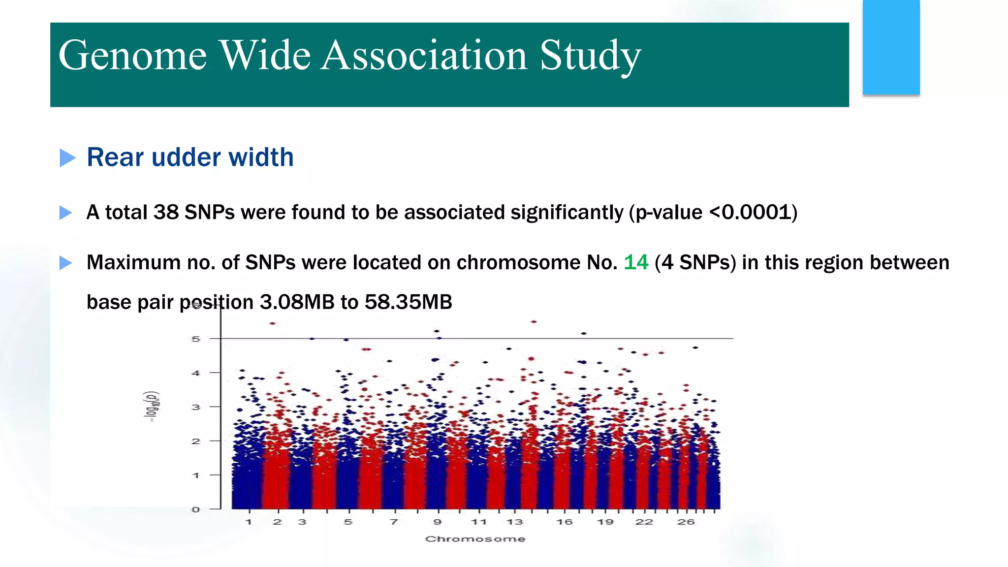  Rear udder width
 A total 38 SNPs were found to be associated significantly (p-value <0.0001)
 Maximum no. of SNPs were located on chromosome No. 14 (4 SNPs) in this region between
base pair position 3.08MB to 58.35MB
Genome Wide Association Study
 