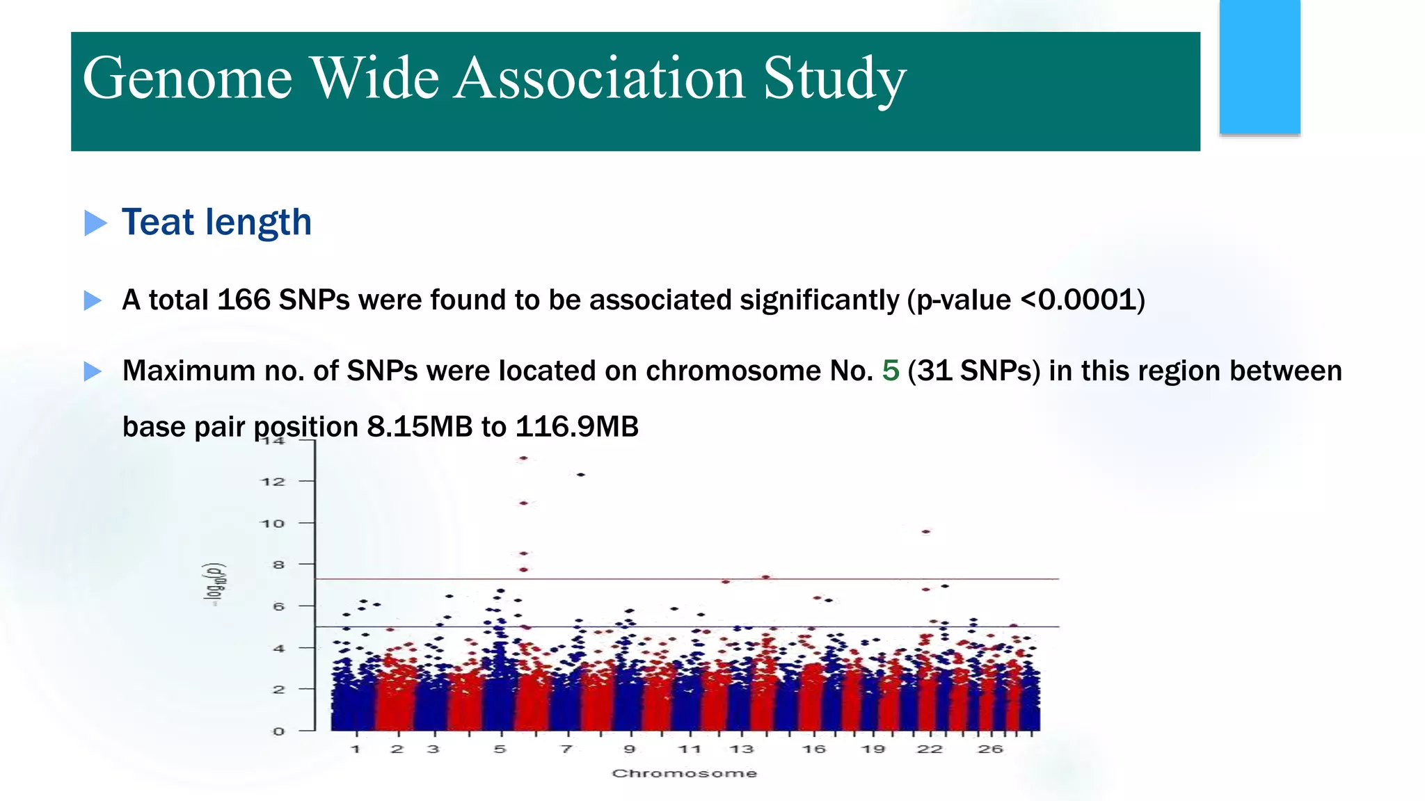  Teat length
 A total 166 SNPs were found to be associated significantly (p-value <0.0001)
 Maximum no. of SNPs were located on chromosome No. 5 (31 SNPs) in this region between
base pair position 8.15MB to 116.9MB
Genome Wide Association Study
 