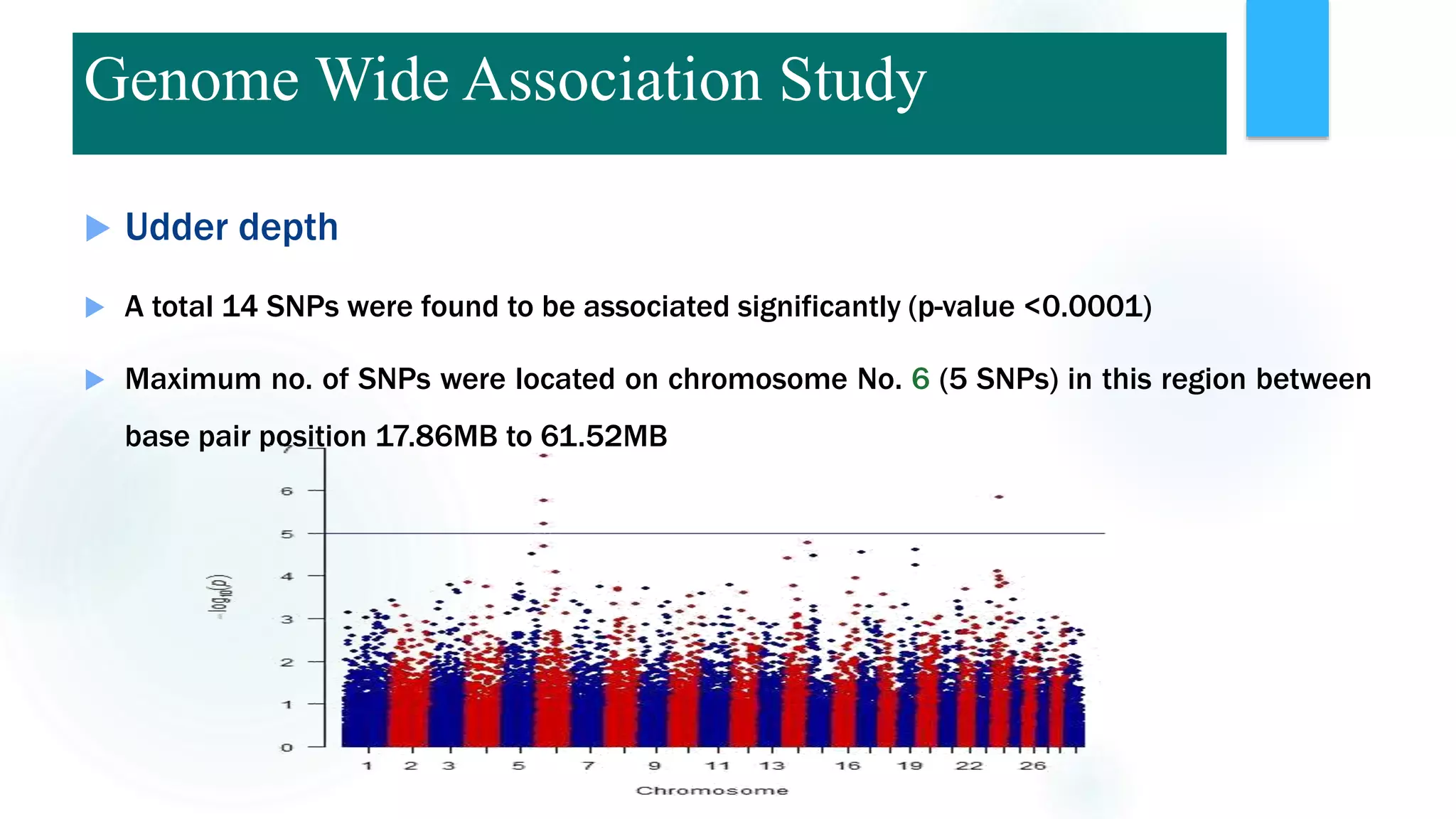  Udder depth
 A total 14 SNPs were found to be associated significantly (p-value <0.0001)
 Maximum no. of SNPs were located on chromosome No. 6 (5 SNPs) in this region between
base pair position 17.86MB to 61.52MB
Genome Wide Association Study
 