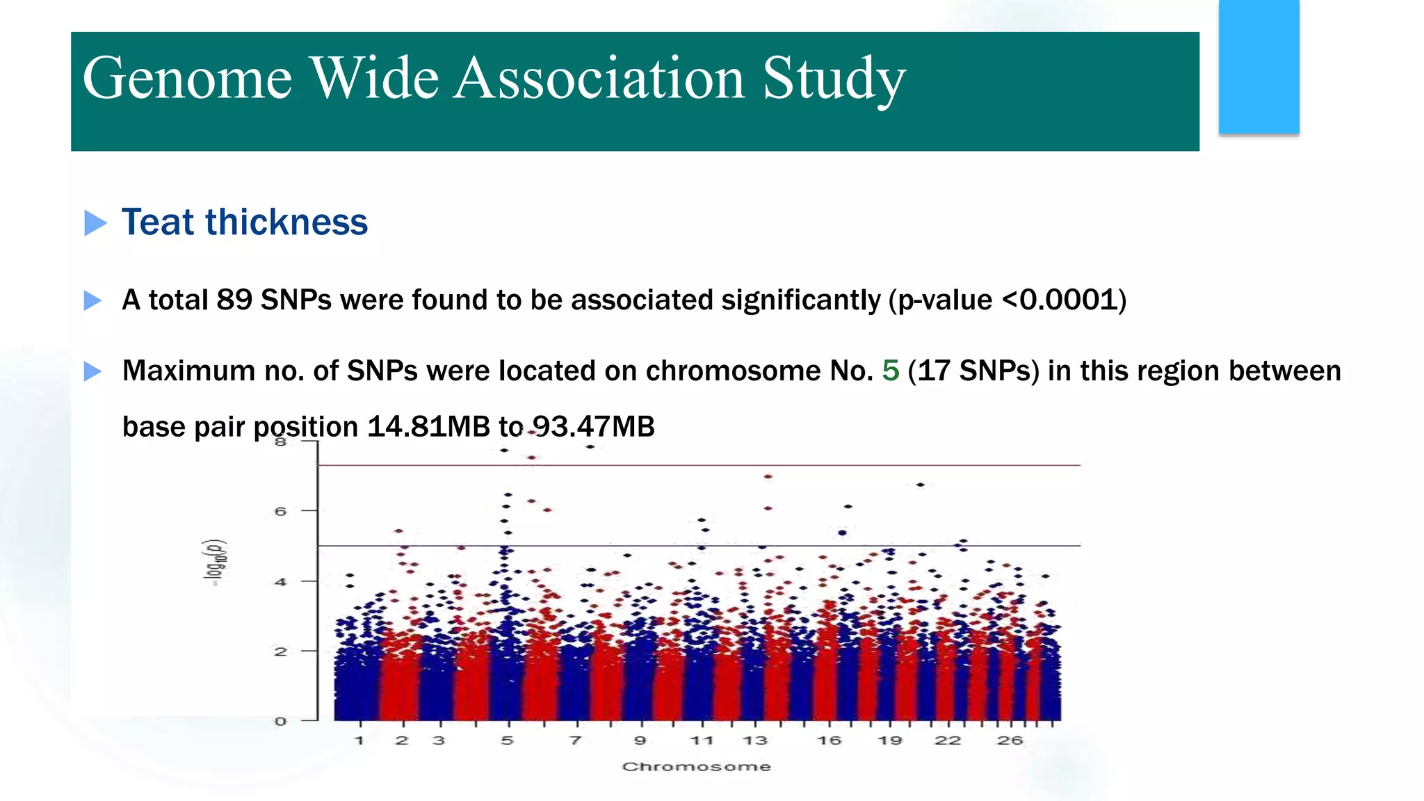  Teat thickness
 A total 89 SNPs were found to be associated significantly (p-value <0.0001)
 Maximum no. of SNPs were located on chromosome No. 5 (17 SNPs) in this region between
base pair position 14.81MB to 93.47MB
Genome Wide Association Study
 