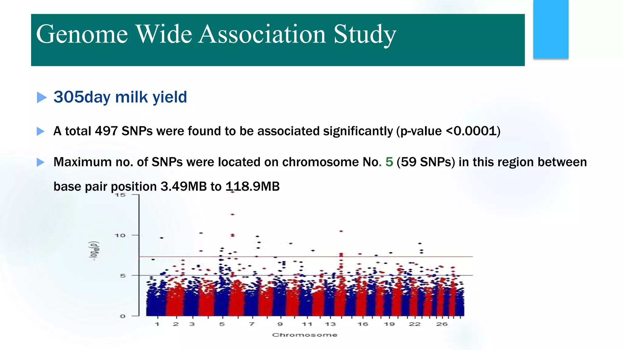 305day milk yield
 A total 497 SNPs were found to be associated significantly (p-value <0.0001)
 Maximum no. of SNPs were located on chromosome No. 5 (59 SNPs) in this region between
base pair position 3.49MB to 118.9MB
Genome Wide Association Study
 