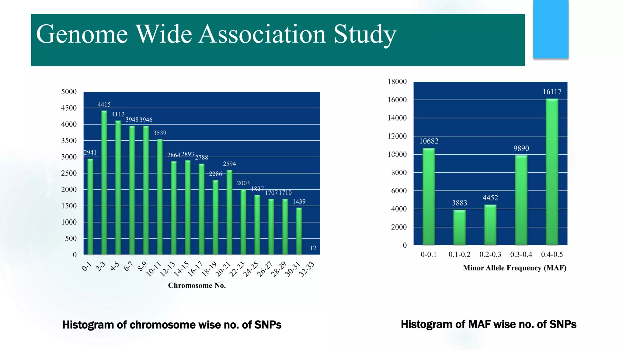 2941
4415
4112
39483946
3539
28642893
2788
2286
2594
2003
1827
17071710
1439
12
0
500
1000
1500
2000
2500
3000
3500
4000
4500
5000
No.ofSNPs
Chromosome No.
Histogram of chromosome wise no. of SNPs
10682
3883
4452
9890
16117
0
2000
4000
6000
8000
10000
12000
14000
16000
18000
0-0.1 0.1-0.2 0.2-0.3 0.3-0.4 0.4-0.5
No.ofSNPs
Minor Allele Frequency (MAF)
Histogram of MAF wise no. of SNPs
Genome Wide Association Study
 