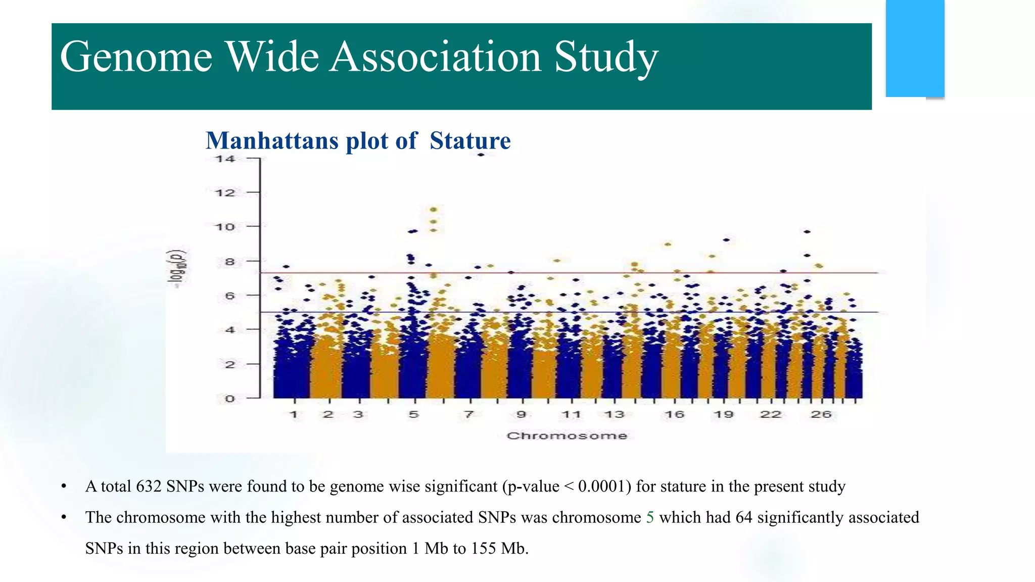Manhattans plot of Stature
• A total 632 SNPs were found to be genome wise significant (p-value < 0.0001) for stature in the present study
• The chromosome with the highest number of associated SNPs was chromosome 5 which had 64 significantly associated
SNPs in this region between base pair position 1 Mb to 155 Mb.
Genome Wide Association Study
 