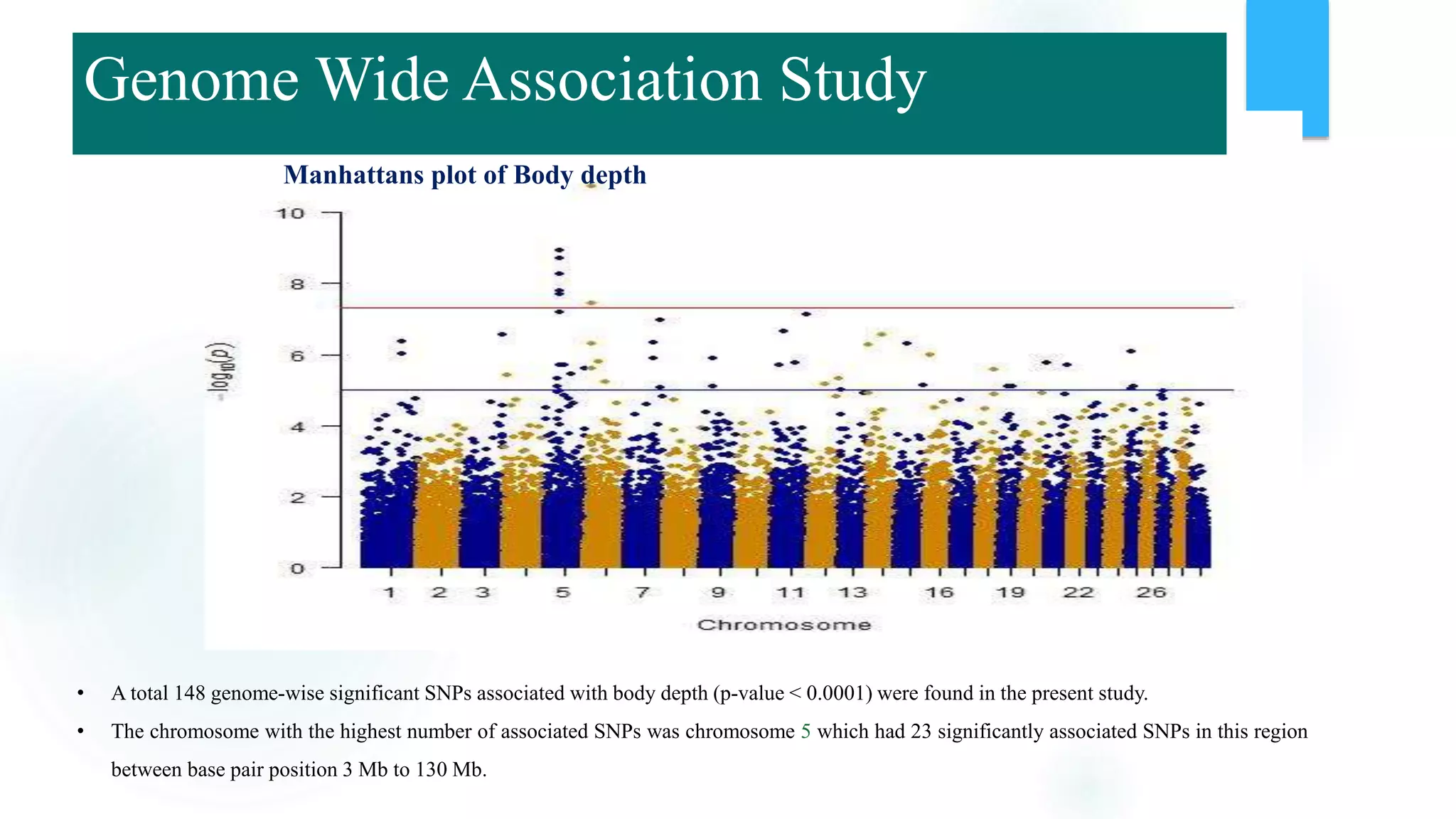Manhattans plot of Body depth
• A total 148 genome-wise significant SNPs associated with body depth (p-value < 0.0001) were found in the present study.
• The chromosome with the highest number of associated SNPs was chromosome 5 which had 23 significantly associated SNPs in this region
between base pair position 3 Mb to 130 Mb.
Genome Wide Association Study
 