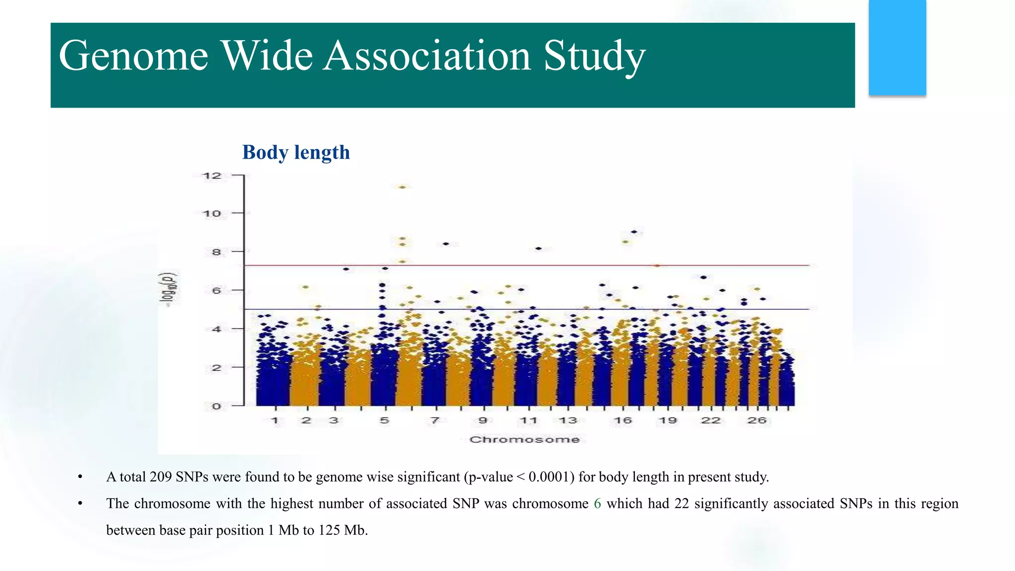 Body length
• A total 209 SNPs were found to be genome wise significant (p-value < 0.0001) for body length in present study.
• The chromosome with the highest number of associated SNP was chromosome 6 which had 22 significantly associated SNPs in this region
between base pair position 1 Mb to 125 Mb.
Genome Wide Association Study
 