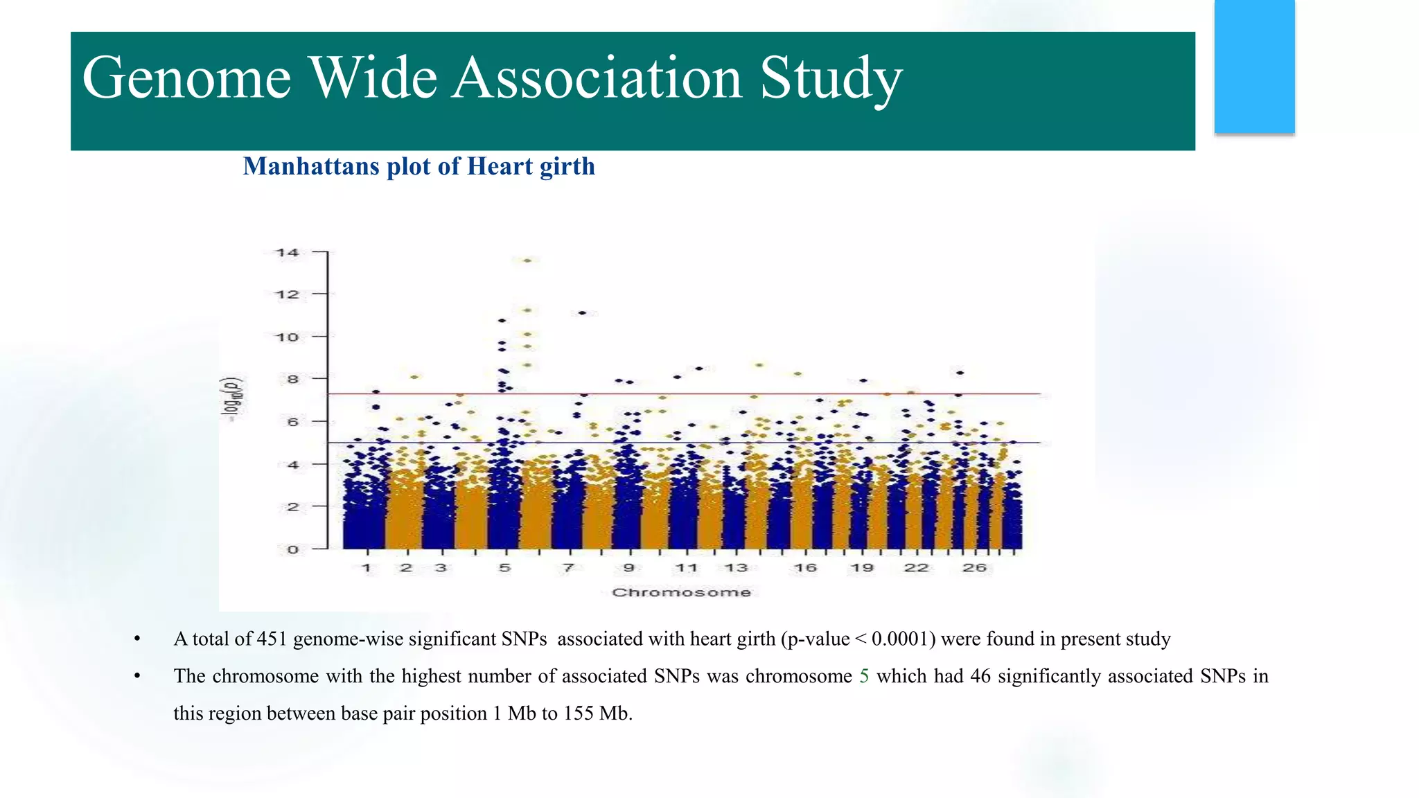 Manhattans plot of Heart girth
• A total of 451 genome-wise significant SNPs associated with heart girth (p-value < 0.0001) were found in present study
• The chromosome with the highest number of associated SNPs was chromosome 5 which had 46 significantly associated SNPs in
this region between base pair position 1 Mb to 155 Mb.
Genome Wide Association Study
 